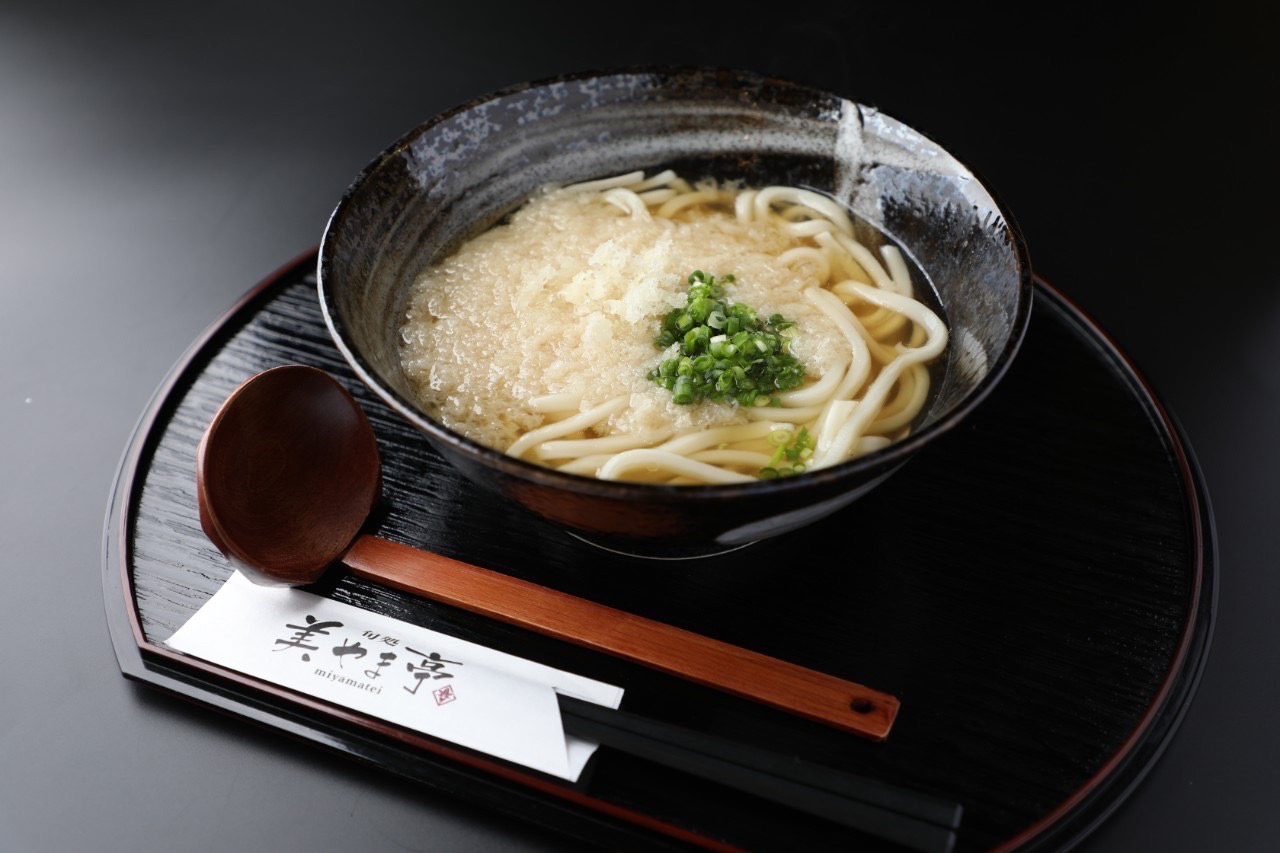 Tanuki Udon